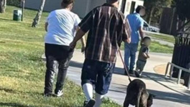 Perro muere tras ser atacado en Central Park en Fremont