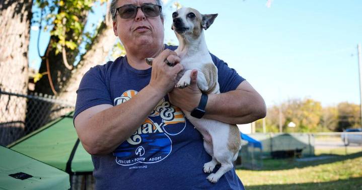 Families on SNAP worry about not just feeding themselves but also their pets