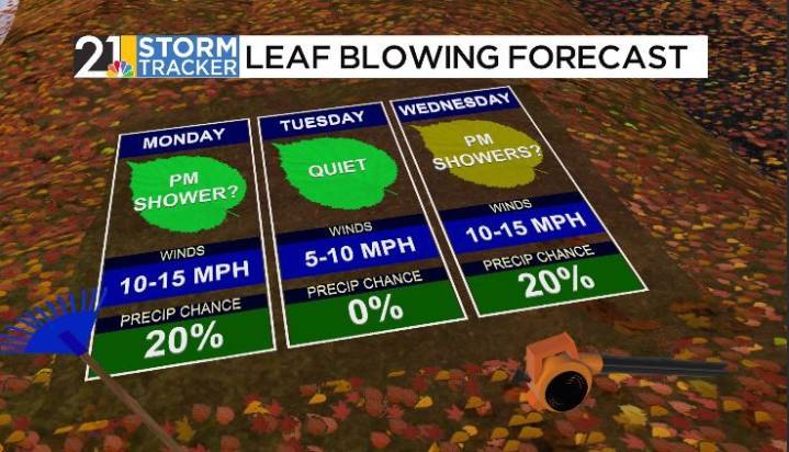 A quiet week, at least to start