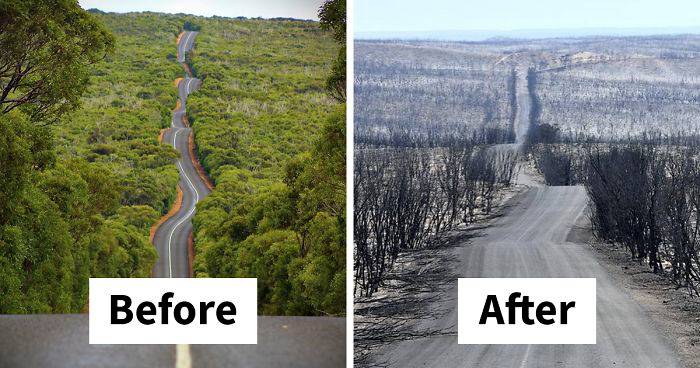 17 Then And Now Photos Of Australia Show How Much Damage The Fires Have Already Done