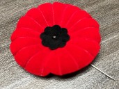 Banning poppies in courtrooms betrays sacrifices of veterans