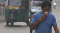 Eight in 10 Delhi-NCR households suffered from toxic air in past month