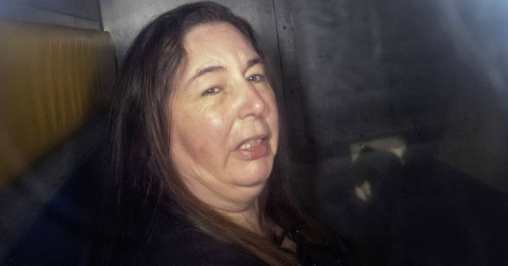 Erin Patterson appeal: Court documents reveal how mushroom murderer will fight her convictions