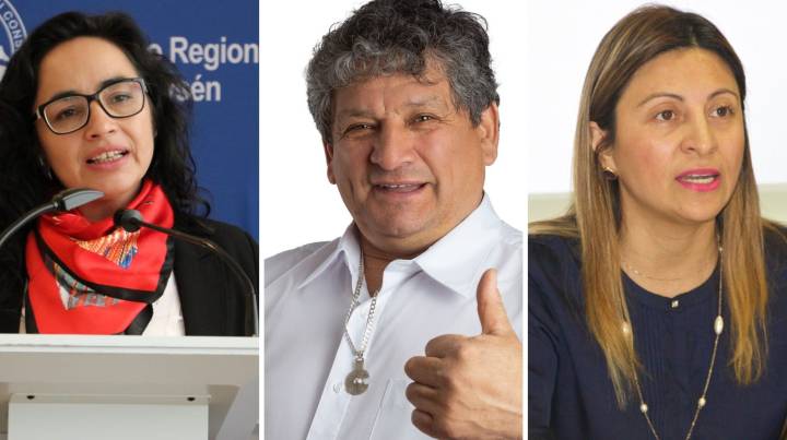 Macías, Valdebenito y Alinco serán los nuevos diputados por Aysén