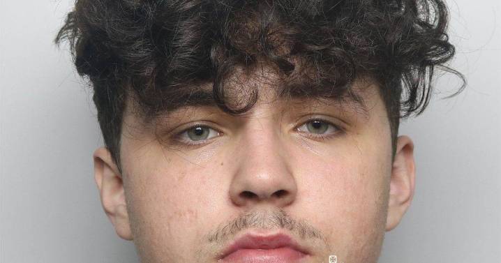 Axe-wielding burglar confronted mum and baby – then realised his grave mistake