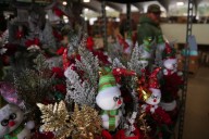 Christmas tree retailers find lots to like at a Pennsylvania wholesale auction