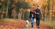 Vet reveals just how long you should be walking your dog for every day