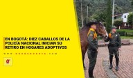 En Bogotá: diez caballos de la Policía Nacional inician su retiro en hogares adoptivos