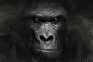 US Healthcare’s Biggest Problem: Overlooking The $5T Gorilla