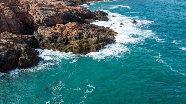 Patagonia Azul: una reserva marina gigante con tres campings gratuitos para los viajeros