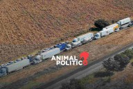 "No se puede prometer lo que no se es posible entregar": Sheinbaum por transportistas y campesinos