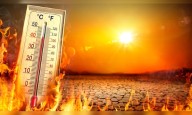 Rising global heat is now killing one person every minute: Lancet report