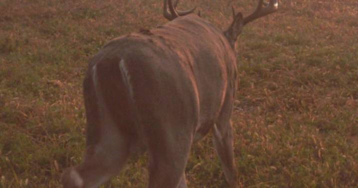 Our Outdoors: Don’t Despair