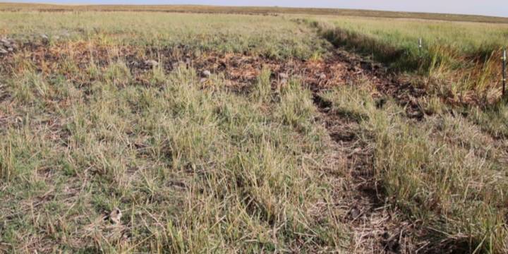 Driver dies after flipping vehicle in Georgia field, officials say