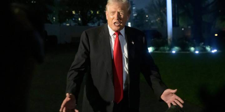 Trump pardons Giuliani, Mark Meadows, others involved in effort to block 2020 election result, DOJ official says