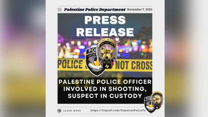 Palestine man in custody after shot fired during police confrontation