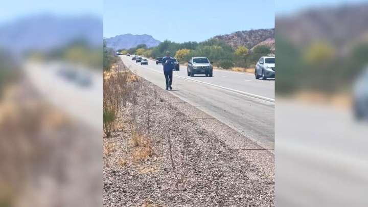 California Couple’s Honeymoon Takes Unexpected Turn When They Encounter A Tiny Creature In Need