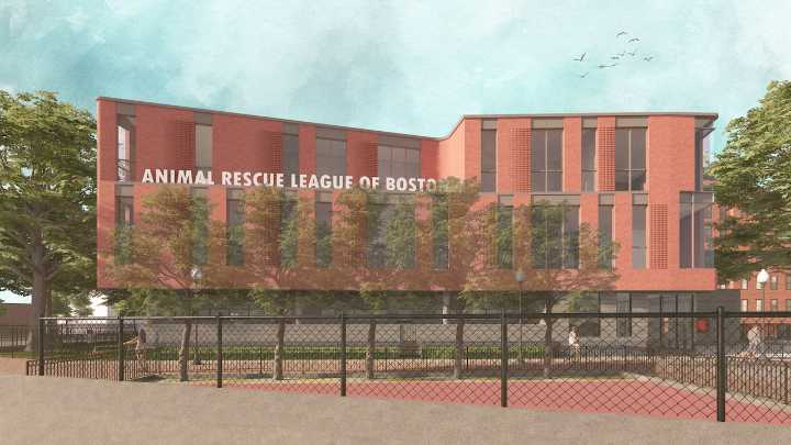 Animal Rescue League of Boston receives stunning gift, largest of its kind