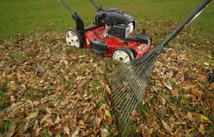 'You’re not done yet': NDSU expert shares fall lawn care tips before first snowfall