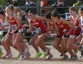 Loveland girls finish seventh at state cross country meet