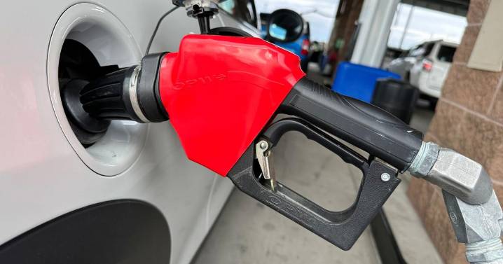 Falling gas prices spur turkey day trips