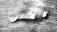 The truth about the first Loch Ness monster photo