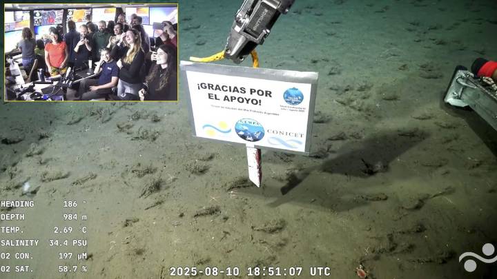 Nueva expedición del Conicet en el Mar Argentino: cuándo empieza y cómo ver en vivo