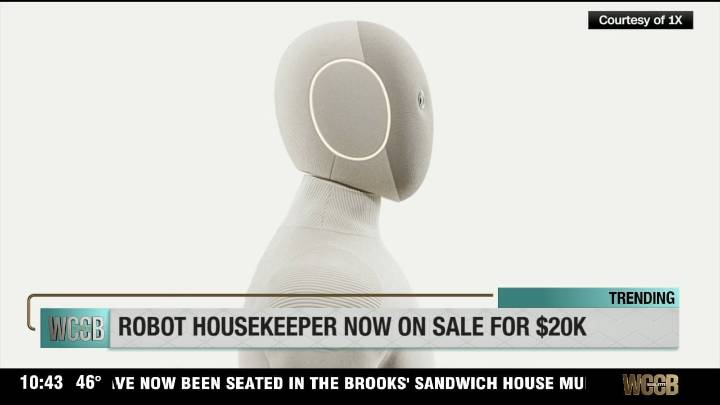 Robot housekeeper now on sale for $20k