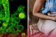 Así se contagia la letal bacteria que tienen 7 de cada 10 mexicanos... y que produce cáncer