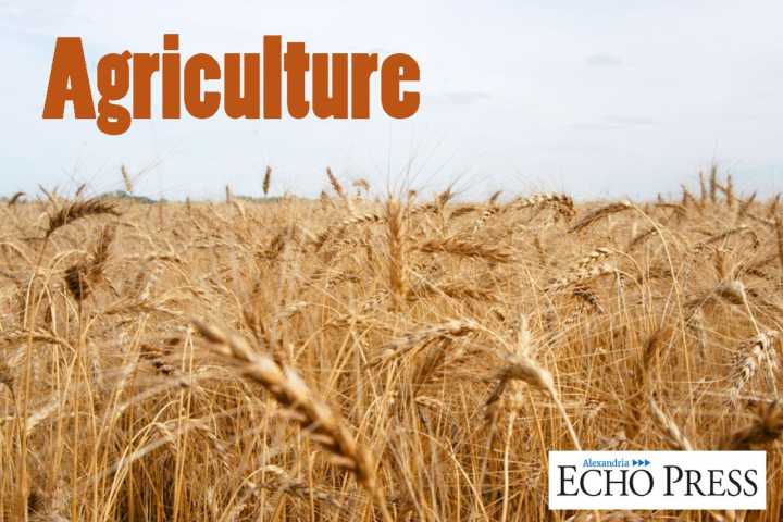 Ashby Lions and Ashby Ag Ed Program awarded $150,000 grant