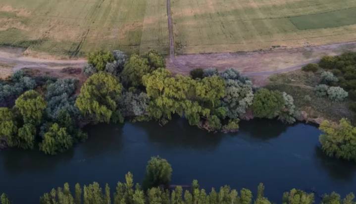 Intensa búsqueda de un hombre y sus hijos en Río Negro: se tiraron al río y los arrastró la corriente