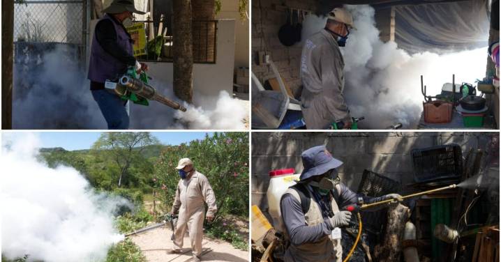 Gobierno de Sonora informa que no se han confirmado defunci0nes por dengue