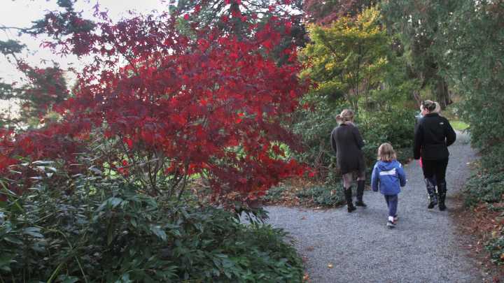 7 activities around RI to try with your family after Thanksgiving