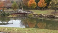 ColorFest kicks off autumn at Bernheim Forest