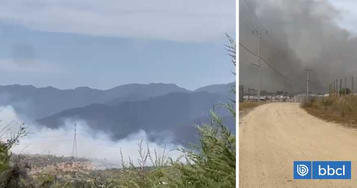 Alerta Roja para la comuna: piden evacuar dos sectores de Limache debido a incendio forestal