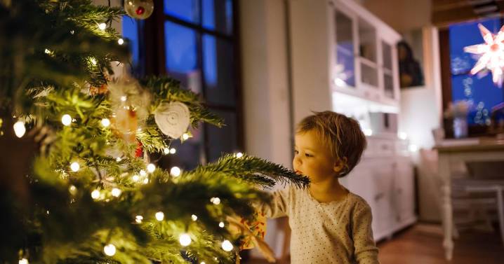 MoneySavingExpert Christmas lights advice may cut costs to '12p every 12 hours'