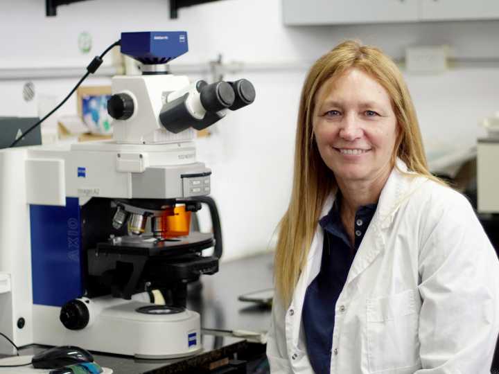 Premian a una bióloga marplatense del Conicet por crear cultivos resistentes a las olas de calor