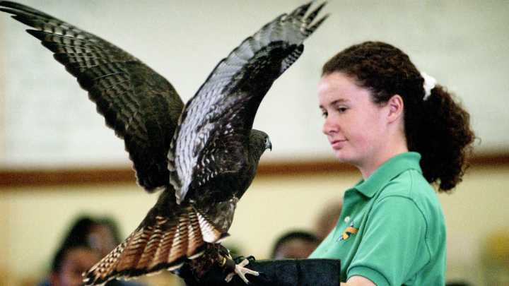 Nashville Then: Experience 30 years ago in November 1995 through photos