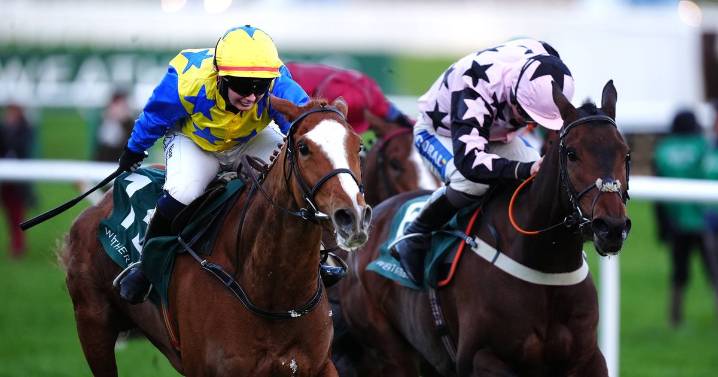 Heads Up set for Cheltenham return on Friday