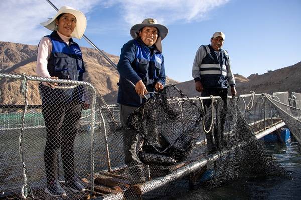 PRODUCTORES SE PREPARAN PARA EL I FESTIVAL REGIONAL DE LA TRUCHA TACNA 2025