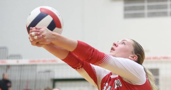 Girls volleyball: 2025 All-Interstate 8 Conference team announced – Shaw Local