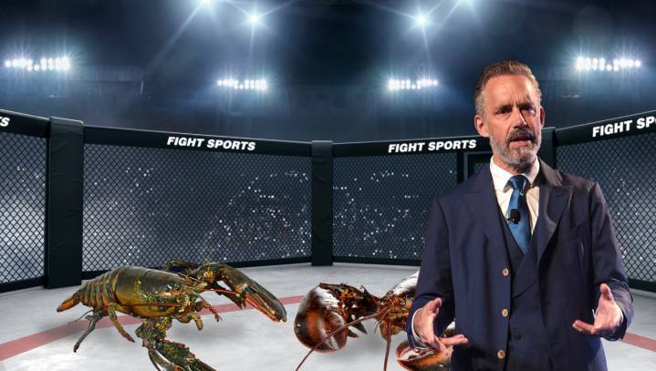 Jordan Peterson To Host First Televised Lobster Fights