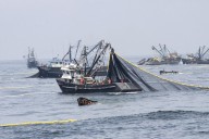 Pesca industrial en Áreas Naturales Protegidas: ¿prohibición o convivencia sostenible?