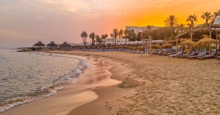 ‘Cockroaches in food and no toilet roll’ in ‘diabolical’ holiday from hell 