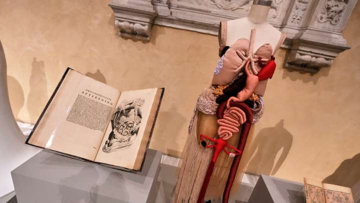 The next Met Gala exhibit will spotlight fashion across art history