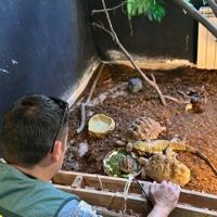 Spain rescues hundreds of exotic animals from unlicensed shelter