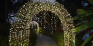 Longview Arboretum lights up for holidays with new walk