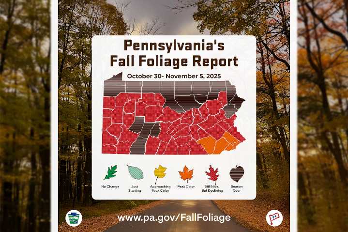 Fall foliage 2025: Which trees have the most stunning autumn leaves? Lehigh Valley Nature Watch