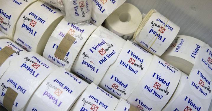 Incumbent, political newby win council seats in Summerfield