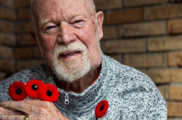 While many abandon the poppy, Don Cherry wishes you'd wear one